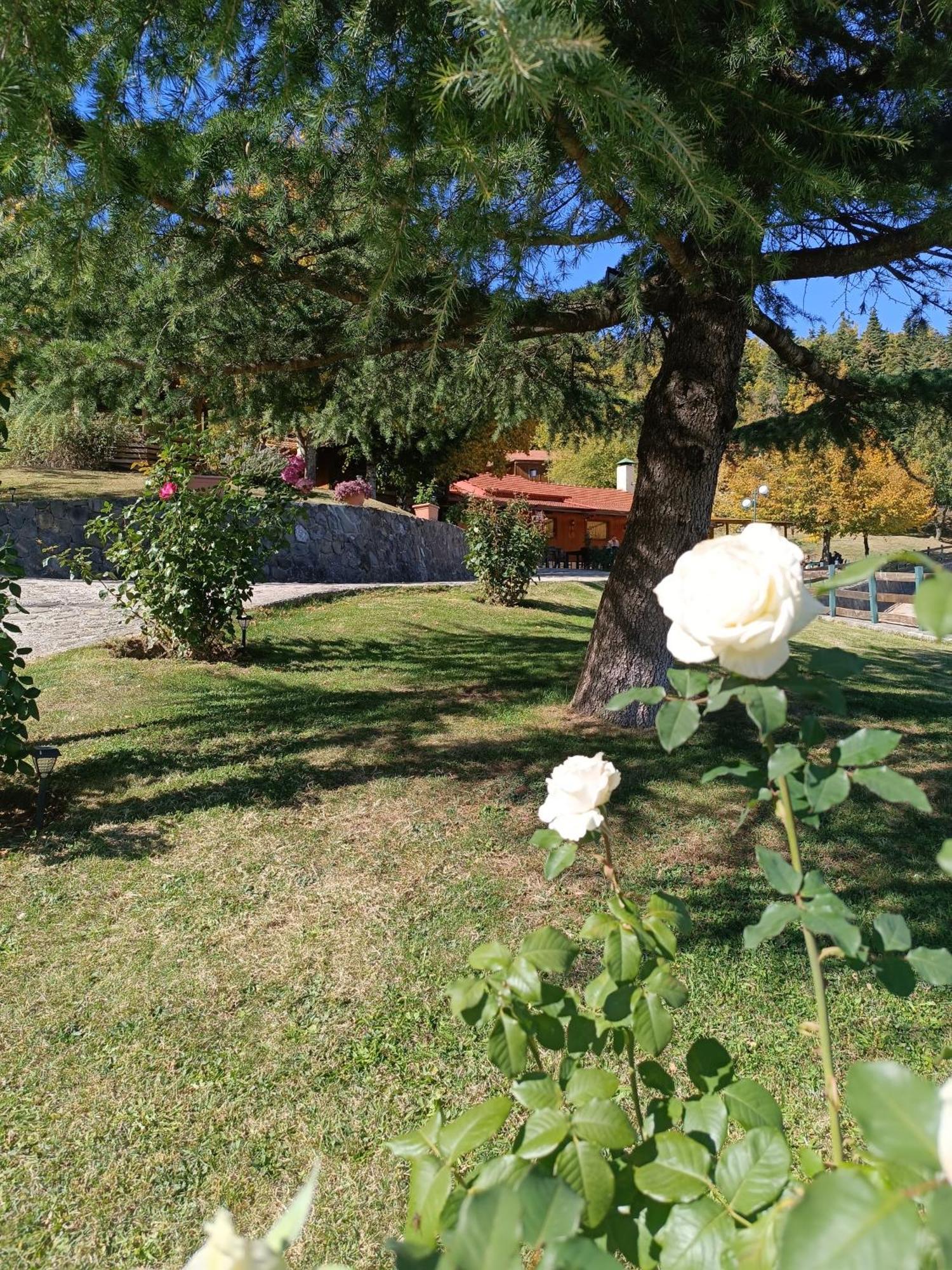 Livadaki Village Megali Kapsi Kültér fotó