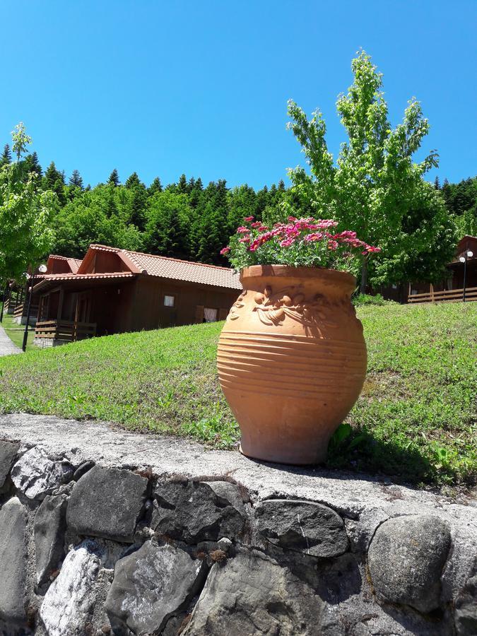 Livadaki Village Megali Kapsi Kültér fotó