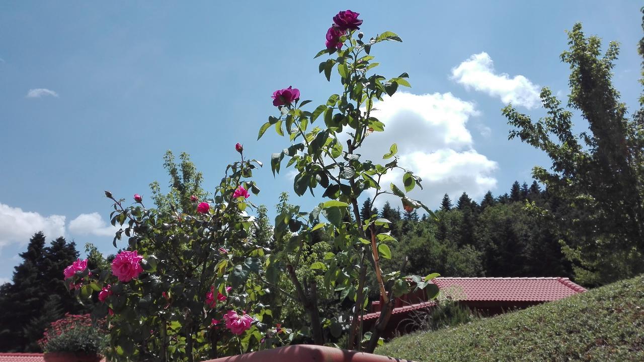 Livadaki Village Megali Kapsi Kültér fotó
